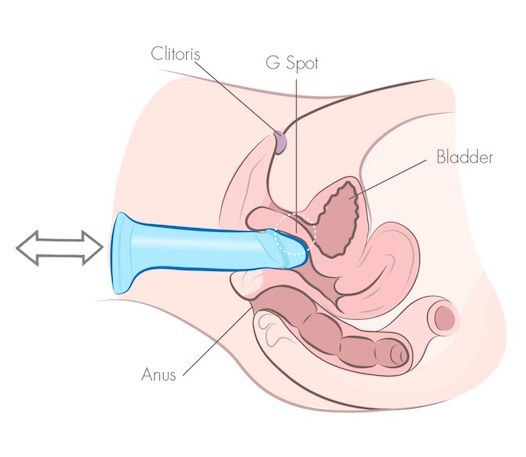 Diagrama mostrando o dildo com movimentos curtos, concentrados na entrada da vagina