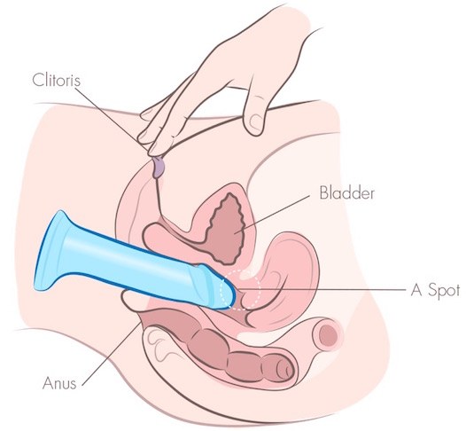 Diagrama mostrando o dildo inserido e parado enquanto os dedos estimulam o clitóris